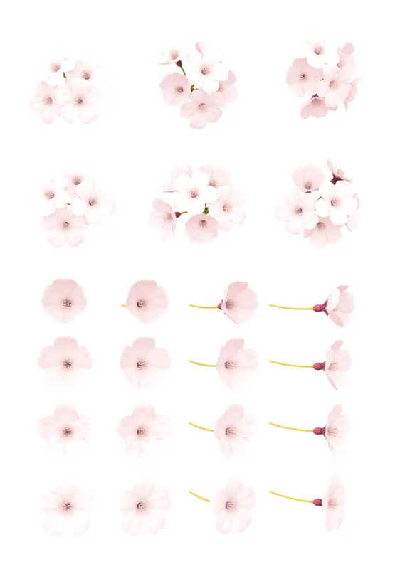 桃色花 桃色花图片 桃色花素材下载 稿定素材 桃色花 桃色花图片 桃色花素材下载 稿定素材