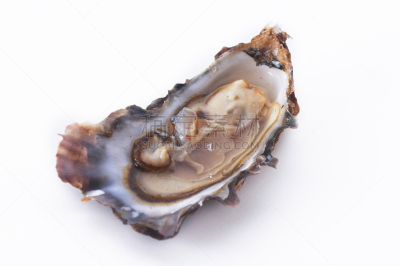 牡蛎,白色,春药,水平画幅,无人,白色背景,食品,摄影