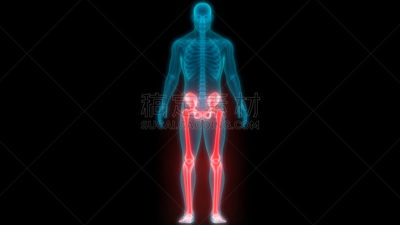 四肢,人类骨架,顺序,腰部以下,运动,背景分离,药,臀,僵硬的肩膀