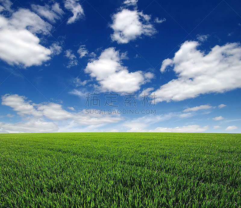 田地,绿色,天空,水平画幅,云,无人,草坪,夏天,户外,草