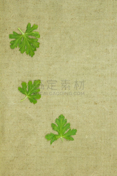 纺织品,干的,粗糙的,植物群,绿色,垂直画幅,艺术,纹理效果,纸巾,除草