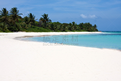 波多黎各,库莱布拉岛,海滩,弗拉明戈舞,水平画幅,户外,棕榈树,海洋,海岸线,彩色图片