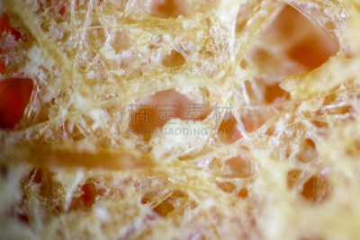 显微镜,实验室,棕榈树,化学制品,纤维,特写,背景,在下面,能源,生物质