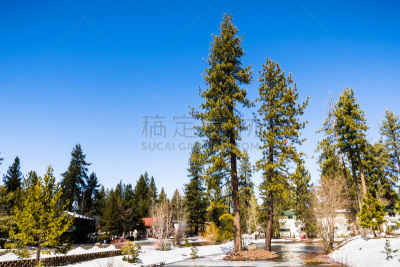 居住区,南太浩湖,霜,雪,加利福尼亚,公园,池塘,云杉,春天,湖