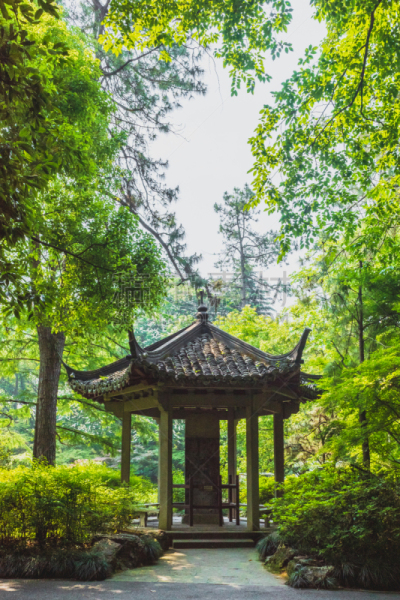 传统,中国,杭州,亭台楼阁,西湖,公园,禅宗,著名景点,植物园,东亚