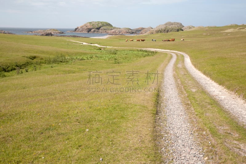 爱奥那岛,草,痕迹,海滩,土路,水平画幅,无人,小路,苏格兰