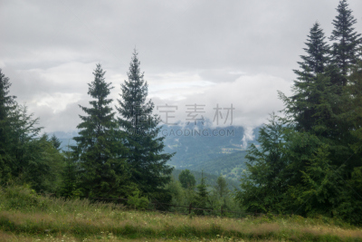 夏天,多云,山,白昼,自然,山式瑜珈姿势,草地,水平画幅,户外,田地