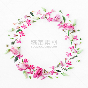 花环,粉色,白色背景,多样,lisianthus,圆形,玫瑰,风信子,花纹,边框