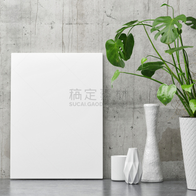 白色,植物,混凝土墙,装饰物,简单,架子,背景聚焦,边框,留白