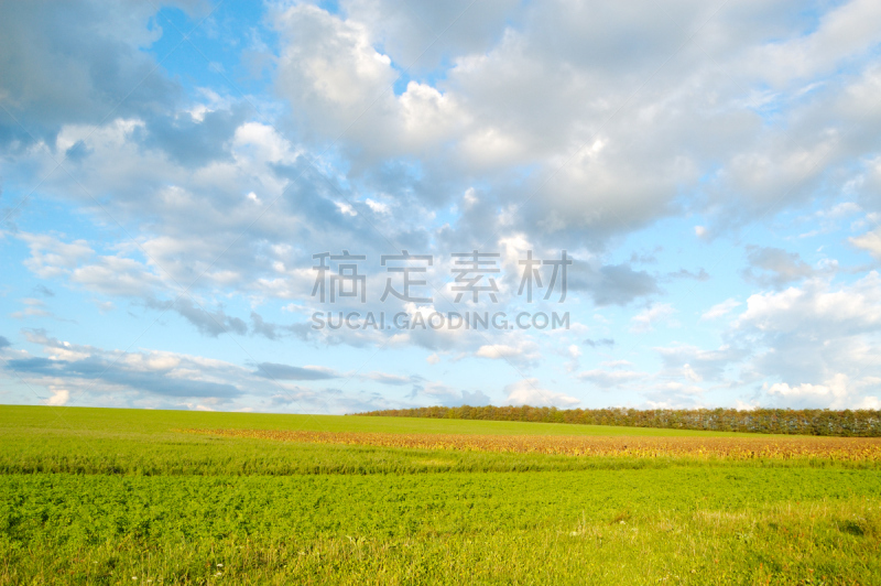 运动场,天空,风,水平画幅,透过窗户往外看,无人,夏天,户外,草,云景