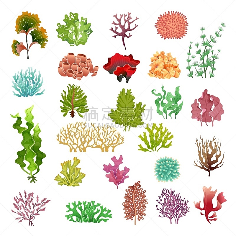 珊瑚,水下,水族馆,海洋,海草,海藻灰,矢量,植物群,布置