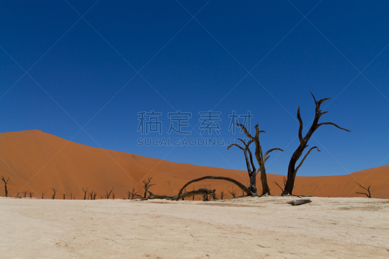 死亡谷,特索切普山峡谷,毛洋槐,喀拉哈里沙漠,纳米布沙漠,苏丝斯黎,盐滩,盐湖,金合欢树,天空