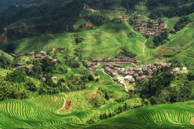 水稻梯田,龙脊梯田,龙胜,稻田,山谷,宏伟,葡萄园,山顶,乡村,山
