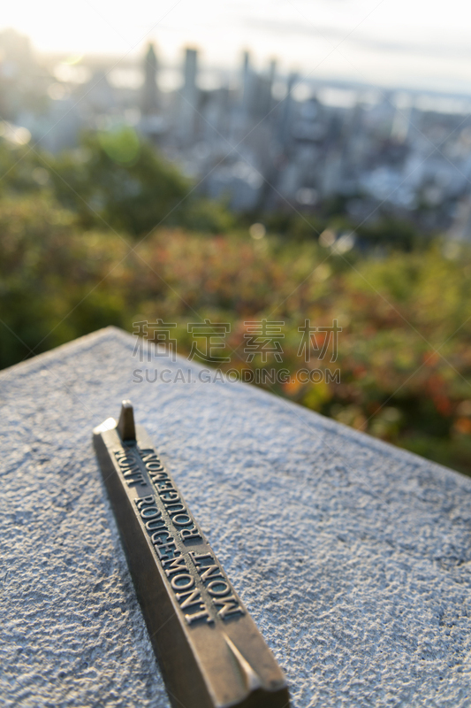 蒙特利尔,城市天际线,建筑结构,城市生活,旅途,建筑外部,文字,秋天,垂直画幅,摩天大楼