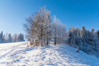 冬天,山,波兰,太阳,白昼,天空,美,水平画幅,云,雪