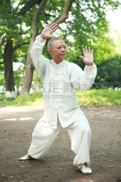 老年男人,户外,亚洲,太极,武术,中国功夫,运动,健康,东亚人,公园