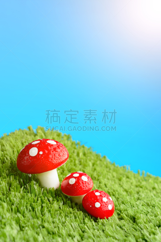 草地,蘑菇,三只动物,雨,垂直画幅,无人,夏天,瓷样伞菇,户外,草