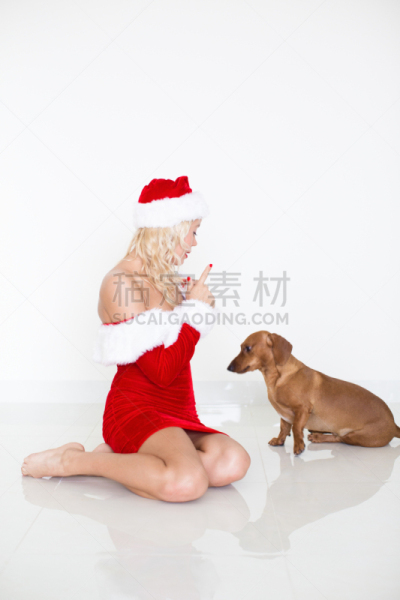 女人,连衣裙,腊肠犬,圣诞老公,垂直画幅,提举,新年,新年前夕,冬天,信心
