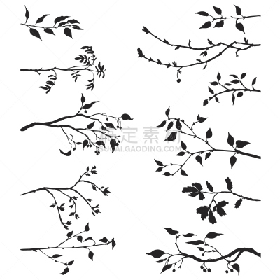 枝,叶子,浆果,苹果树,山梨树,竹,花楸浆果,蔓越桔,绘画插图