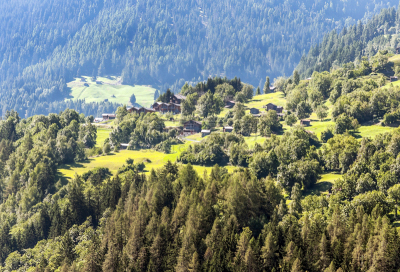 阿尔卑斯山脉,法国海外领土,旅途,景观设计,环境,瑞士阿尔卑斯山,草,夏天,户外,天空