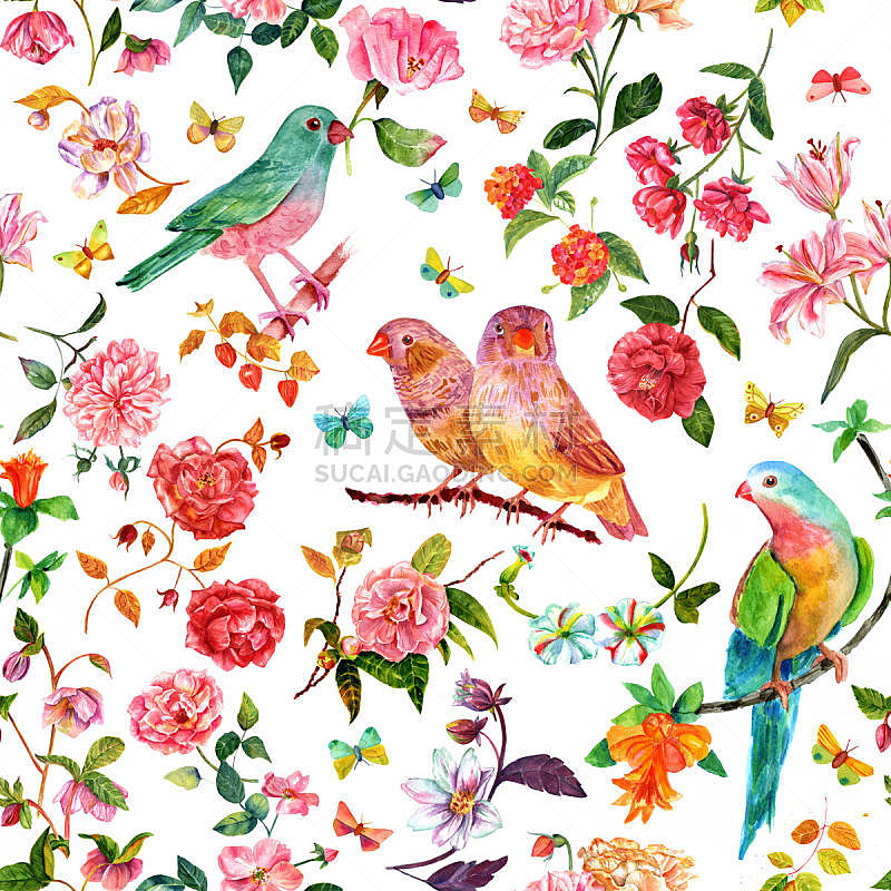 鸟类,仅一朵花,蝴蝶,水彩画,四方连续纹样,马樱丹属,牡丹,大丽花属,茶花