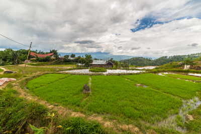 乡村,传统,托拉亚地区,印尼民居,塔纳托拉雅,特拉加,南苏拉威西省,苏拉威西,水稻梯田,天空