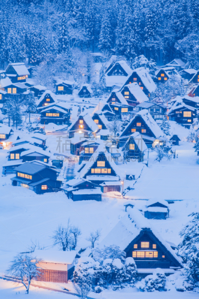 白川乡,世界遗产,乡村,建筑工地,岐阜县,垂直画幅,里山,夜晚,雪,传统