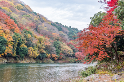 京都府,季节,秋天,日本,岚山,里山,沟壑,水平画幅,山,无人