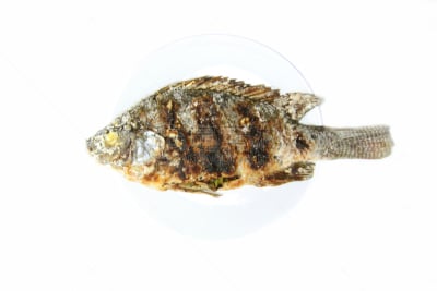 格子烤肉,食盐,鱼类,金属格栅,水平画幅,膳食,海产,白人,烟,肉