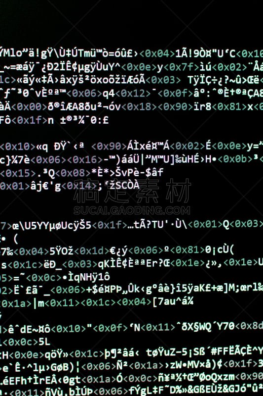 计算机软件,问题,哑语,编码,母鹿,数据,垂直画幅,图像,坏掉的,网络安全防护
