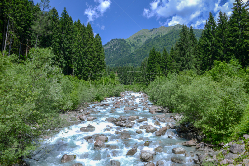 河流,流水,自然,特伦蒂诺-上阿迪杰,水,美,宁静,非都市风光,水平画幅,地形