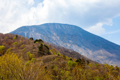 日本,长野县,婚姻,非都市风光,地形,户外,秋天,金色,绿色,蓝色
