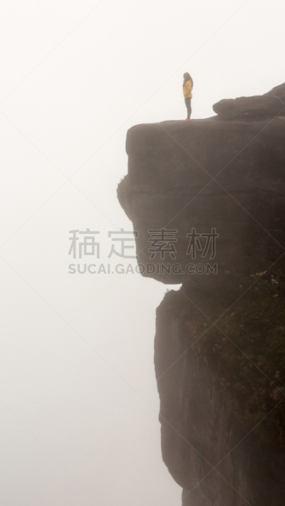 罗赖马山,平顶山区,罗赖马州,平顶山,canaima,委内瑞拉,垂直画幅,南美,无人,户外