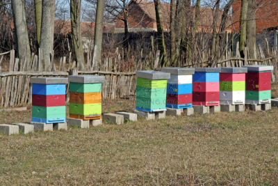蜂箱,昆虫群,beekeeper,养蜂,褐色,水平画幅,户外,草,两翼昆虫,园艺