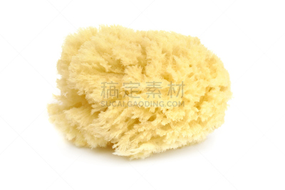 海绵,自然,水平画幅,无人,白色背景,干的,背景分离,化妆用品,毛绒绒,黄色