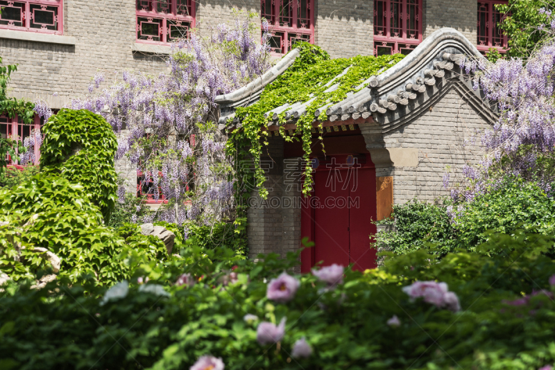 北京大学,校园,大学,草坪,天空,艺术,水平画幅,无人,户外,龙