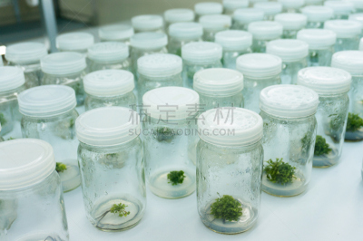 实验室,微生物,选择对焦,生物科技,水平画幅,微生物学,科学实验,科学,架子,生物学