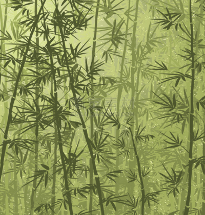 竹林,竹,无人,绘画插图,植物,中国,叶子,矢量,自然,式样