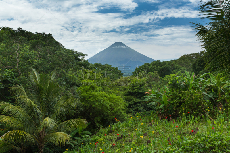 火山,康塞普西翁,尼加拉瓜,自然,美,水平画幅,绿色,枝繁叶茂,地形