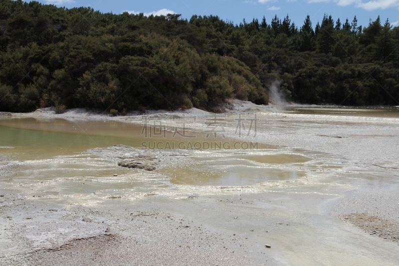 罗托鲁阿,新西兰,部分,一只动物,水,水平画幅,lake tarawera,无人,火山地形,户外