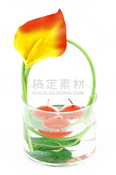 仅一朵花,自然,垂直画幅,水,人造的,无人,色彩鲜艳,玻璃,背景分离,华丽的