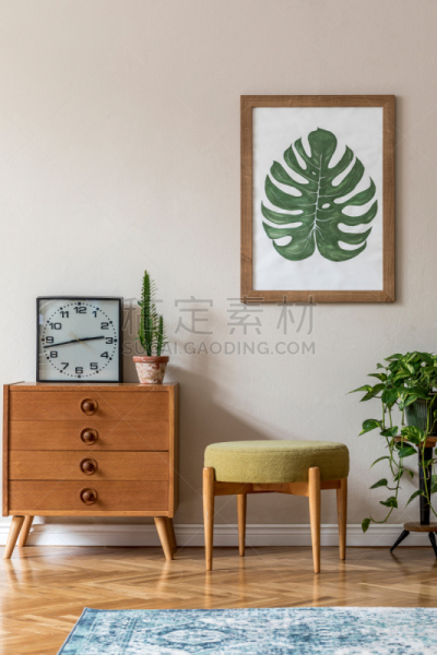 模板,高雅,米色,围墙,装饰物,起居室,轻蔑的,植物群,设计