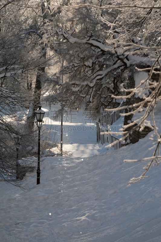 雪,公园,小路,灯笼,哈留省,爱沙尼亚,垂直画幅,冬天,图像,霜