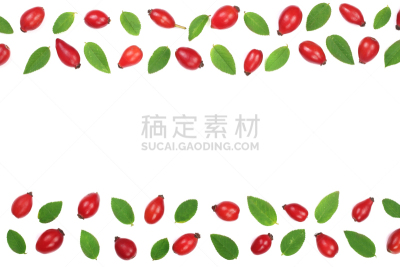 留白,顶部,浆果,分离着色,式样,白色背景,视角,蔷薇果,平铺,文字