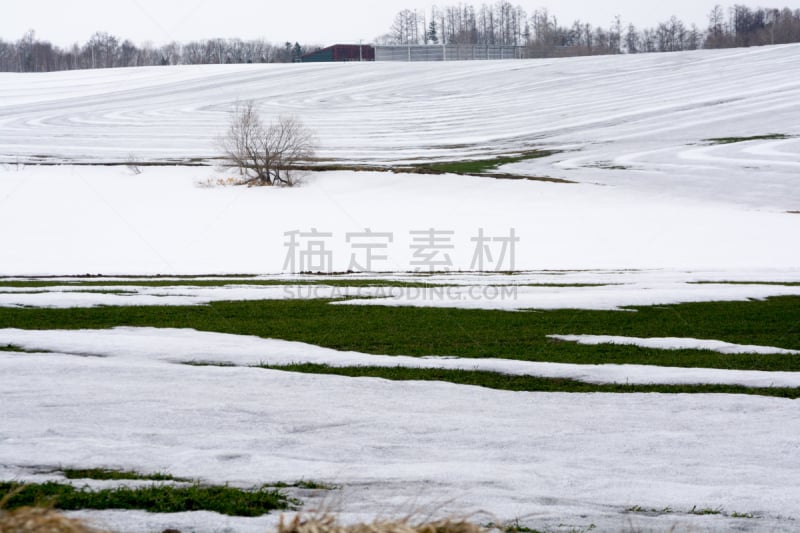 雪,田地,留白,水平画幅,山,无人,户外,路盐,风景,深雪