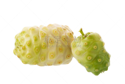 诺丽果,白色背景,热带水果,美,水平画幅,枝繁叶茂,无人,维生素,户外,奶酪