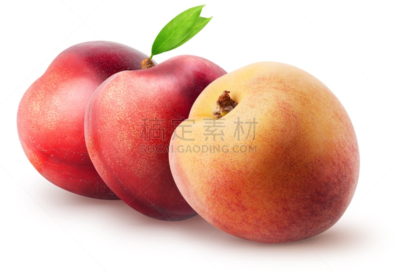 Isolated nectarines. Two whole nectarine fruits and peach with leaves isolated on white background with clipping path