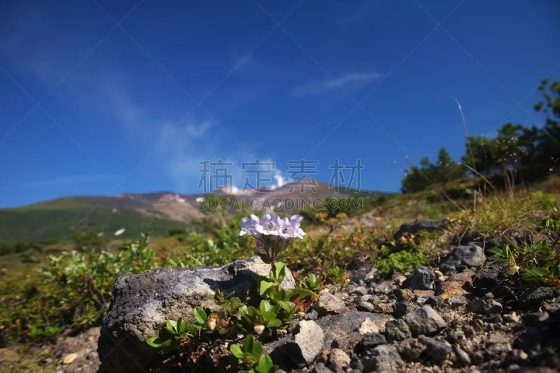 羽毛 十胜岳 大雪山 大雪山国家公园 旭川 天空 留白 国家公园 水平画幅 山图片素材下载 稿定素材 羽毛 十胜岳 大雪山 大雪山国家公园 旭川 天空 留白 国家公园 水平画幅 山图片素材下载 稿定素材