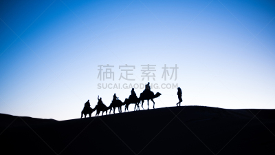 骆驼,摩洛哥,沙漠,东,水平画幅,沙子,莫鲁加,贝多因人,埃及,夏天