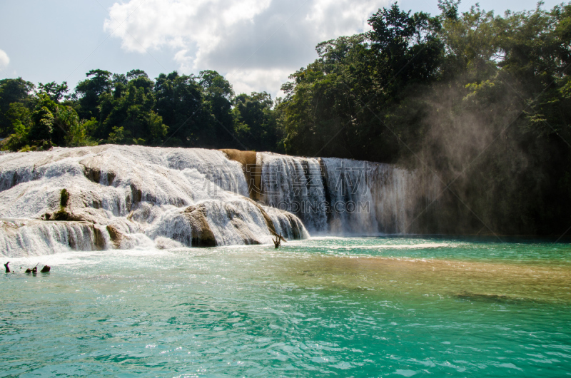 瀑布,agua azul cascades,清新,热带气候,帕伦克,墨西哥,自然美,绿松石色,河流,热带树